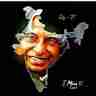 APJ Abdul kalam